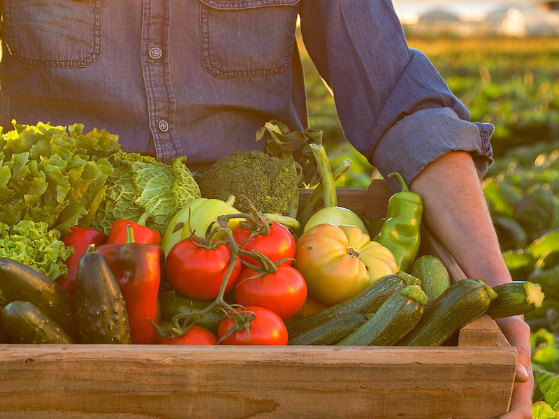 fruits and Vegetables in a basket